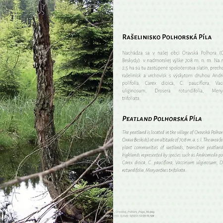 Apartment Na Hranici *